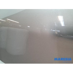 Peugeot - 208 - Tür 4-türig links hinten