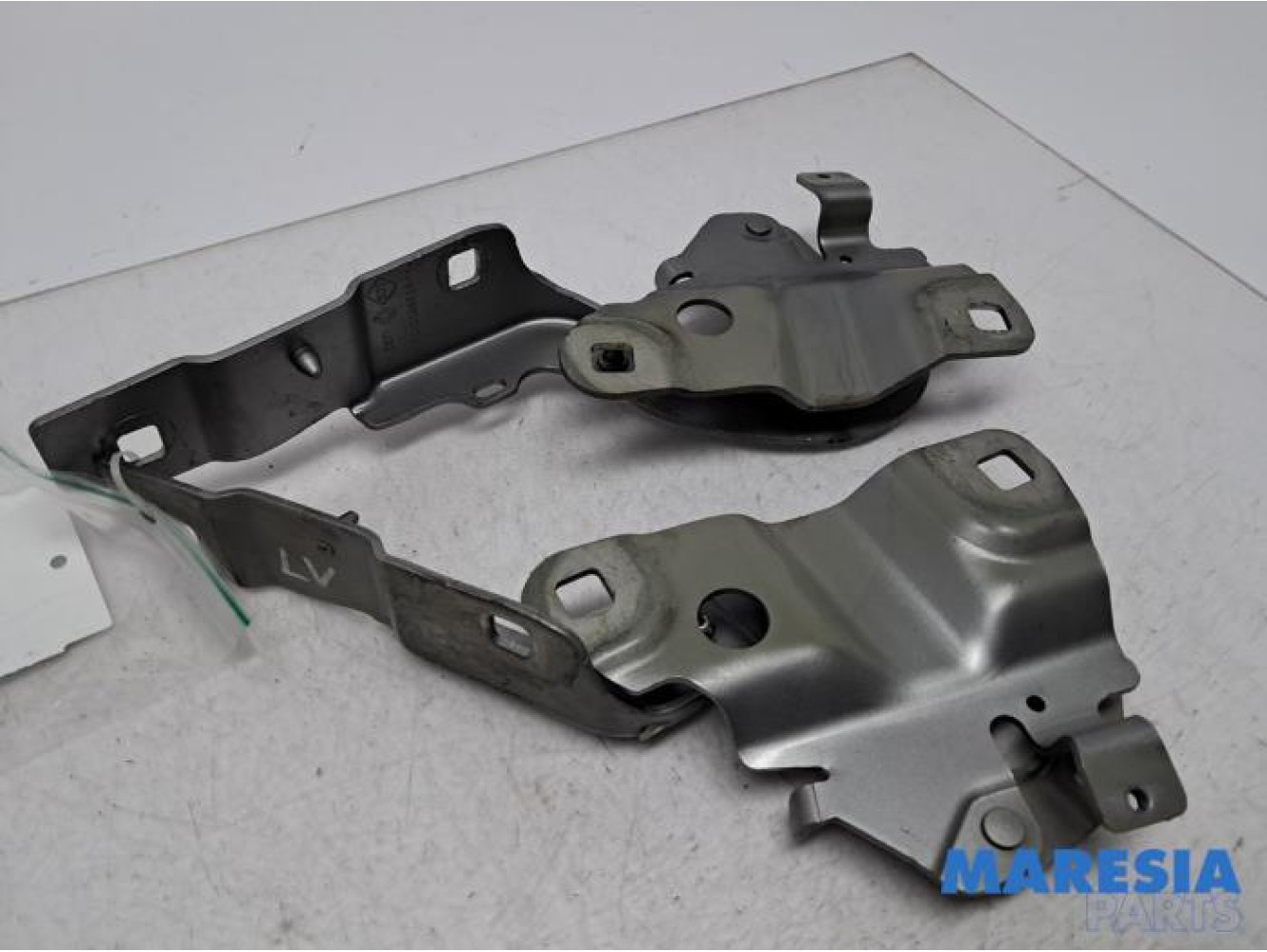 Renault - ZOE - Bonnet Hinge