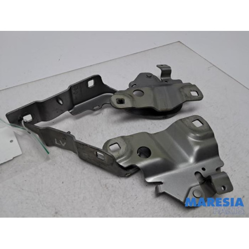Renault - ZOE - Bonnet Hinge