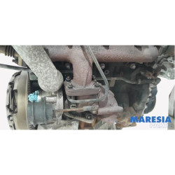 Fiat - Ducato - Motor