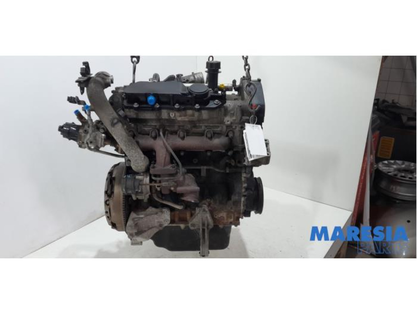 Fiat - Ducato - Motor