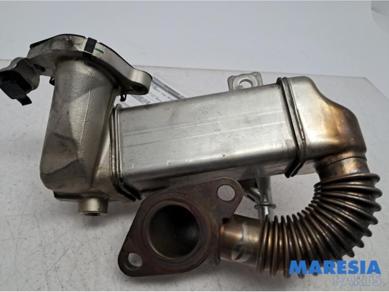 Renault - Trafic - EGR koeler