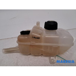 Renault - Megane - Expansievat