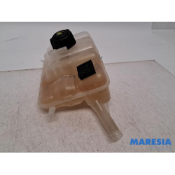 Renault - Megane - Expansievat