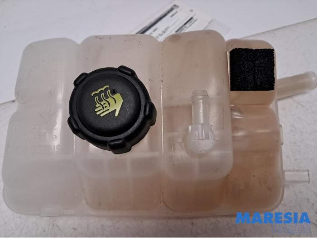 Renault - Megane - Expansievat