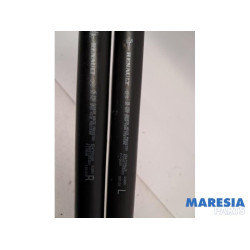 Renault - Megane - Gasdemper Motorkap Set