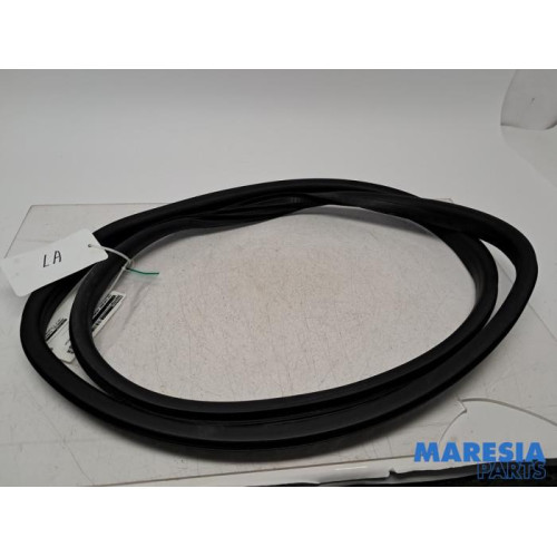 Renault - Megane - Rear door seal 4-door, left