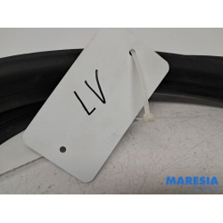 Renault - Megane - Front door seal 4-door, left