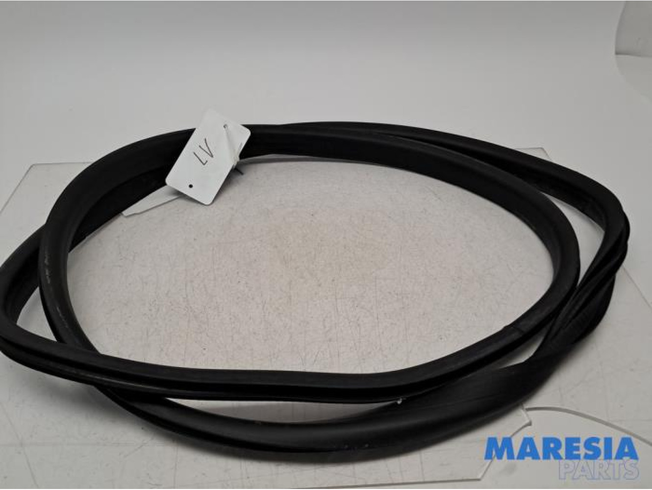 Renault - Megane - Front door seal 4-door, left