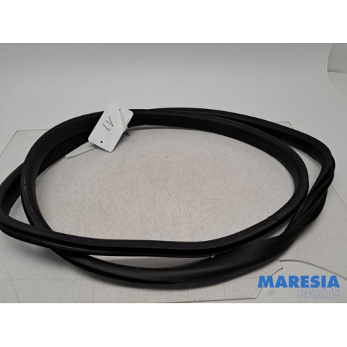 Renault - Megane - Portierrubber 4Deurs links-voor