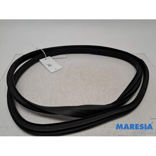 Renault - Megane - Portierrubber 4Deurs rechts-voor