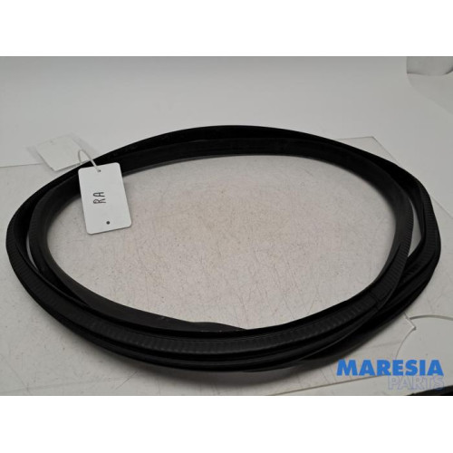 Renault - Megane - Portierrubber 4Deurs rechts-achter