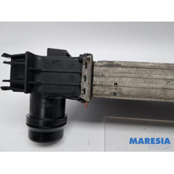 Opel - Movano - Intercooler