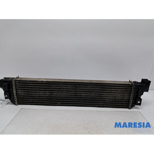 Opel - Movano - Intercooler