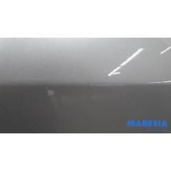 Renault - Trafic - Portier 2Deurs rechts