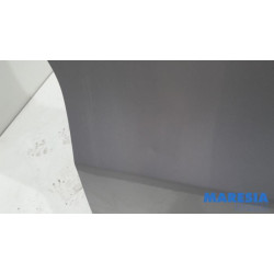 Renault - Trafic - Portier 2Deurs rechts