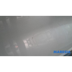 Renault - Trafic - Minibus/van rear door