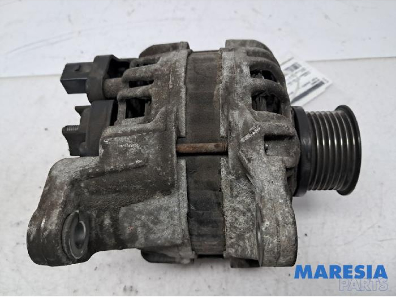 Fiat - Ducato - Dynamo