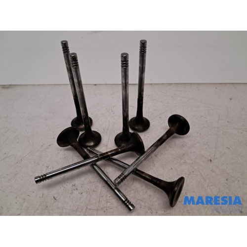 Peugeot - Expert - Exhaust valve