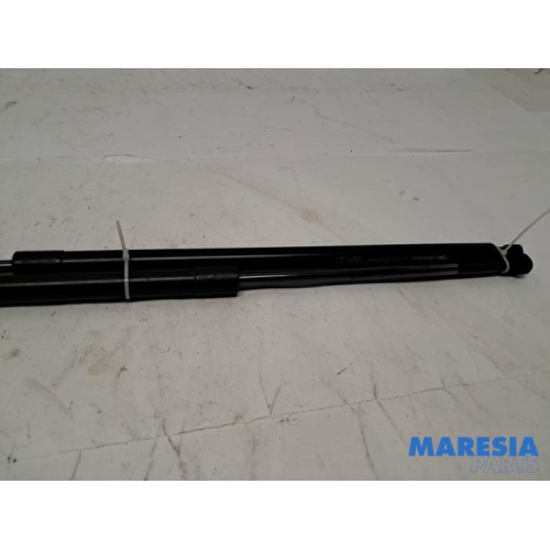Renault - Grand Scenic - Set Gasdempers Achterklep