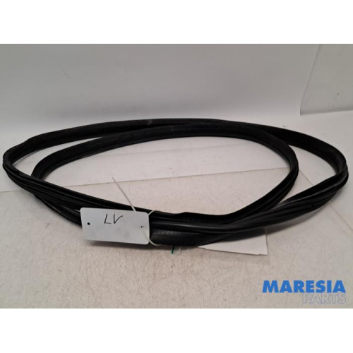 Peugeot - 107 - Portierrubber 2Deurs links