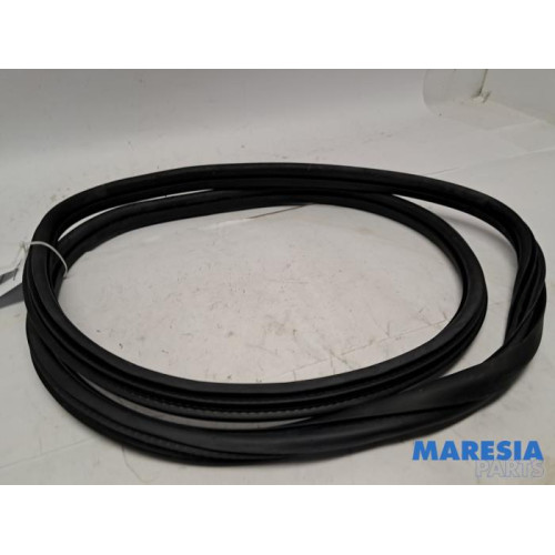 Peugeot - 2008 - Portierrubber 4Deurs links-achter