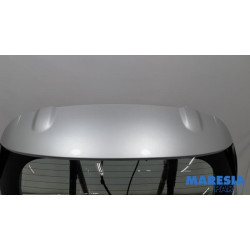 Renault - Clio - Hayon