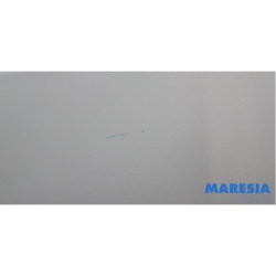 Renault - Trafic - Schiebetür rechts