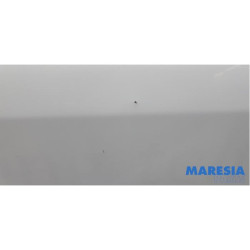 Fiat - Ducato - Achterdeur Bus-Bestelauto