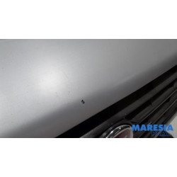 Fiat - Ducato - Grille