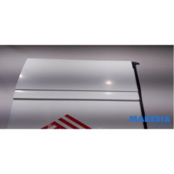 Fiat - Ducato - Minibus/van rear door