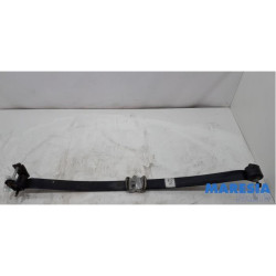 Fiat - Ducato - Bladveer achter