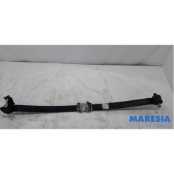 Fiat - Ducato - Bladveer achter