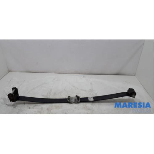 Fiat - Ducato - Bladveer achter