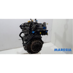 Renault - Clio - Motor