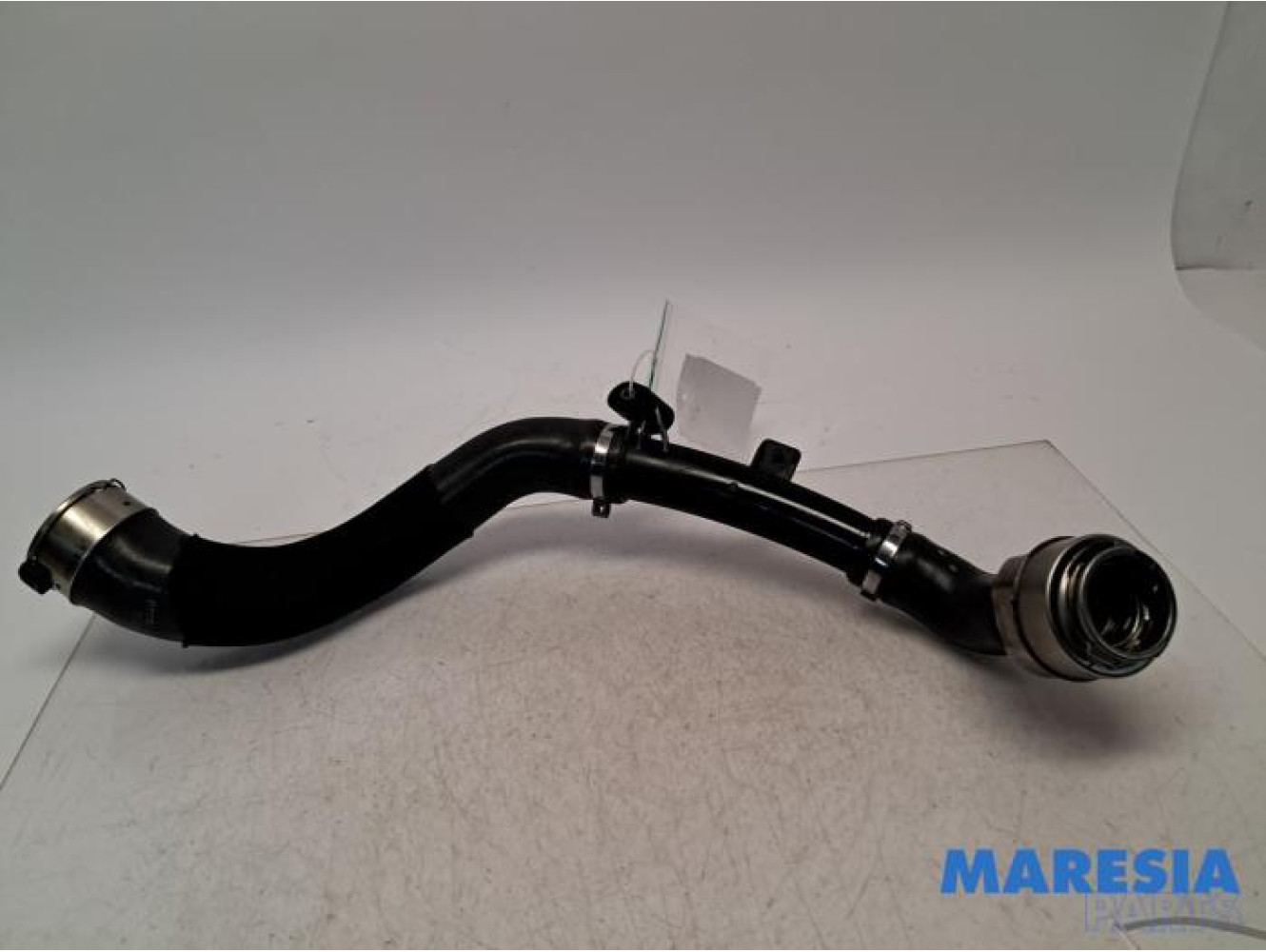 Renault - Scenic - Intercooler Schlauch