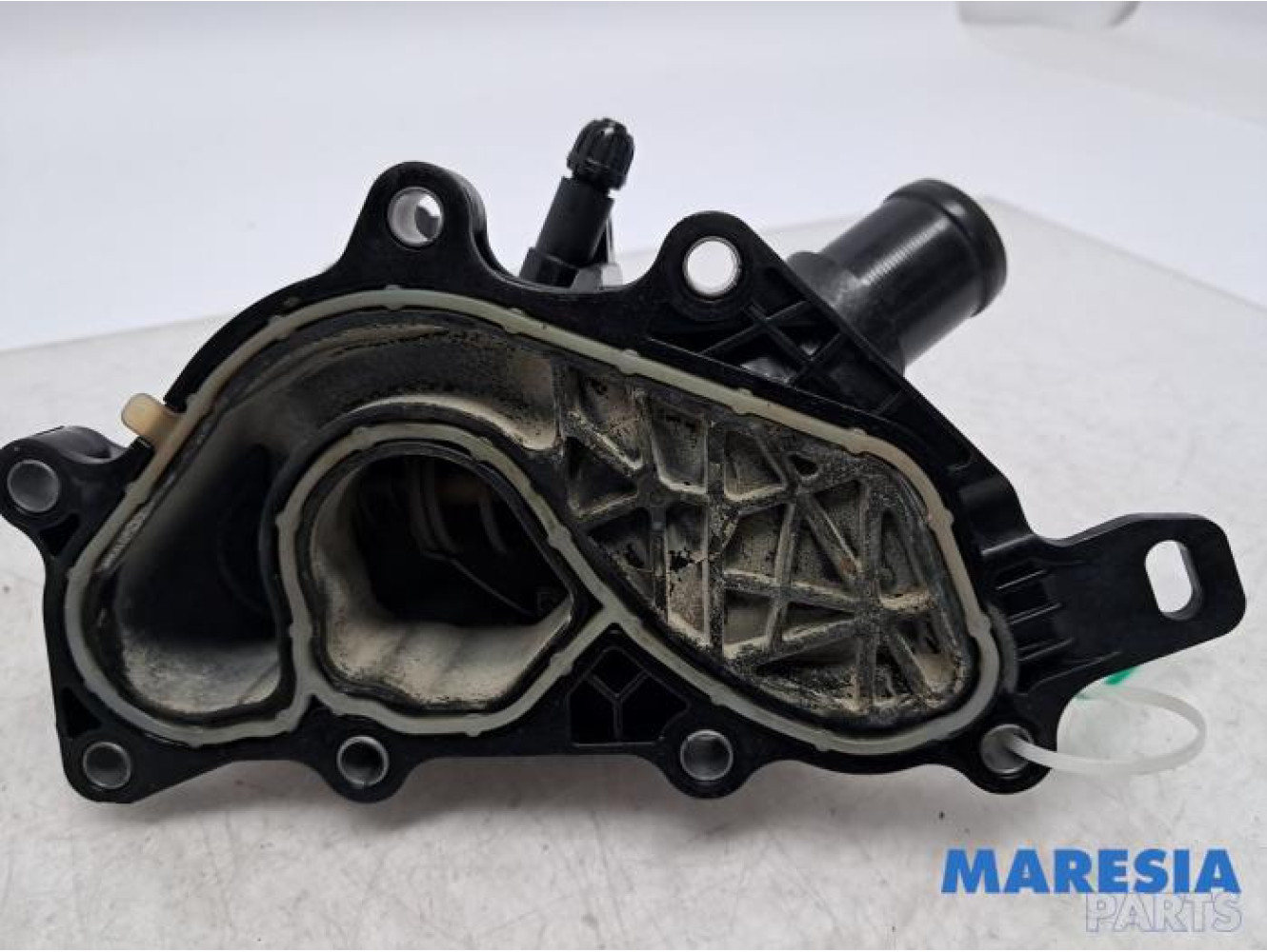 Renault - Scenic - Thermostatgehäuse