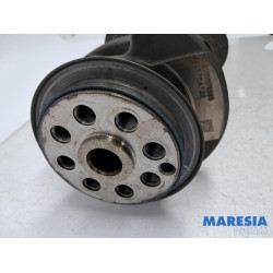 Fiat - Ducato - Krukas