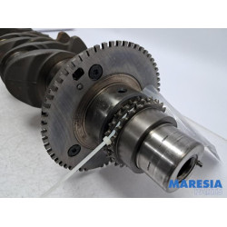 Fiat - Ducato - Krukas