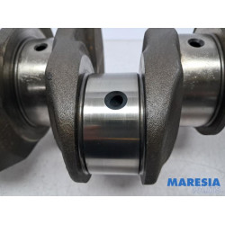 Fiat - Ducato - Krukas