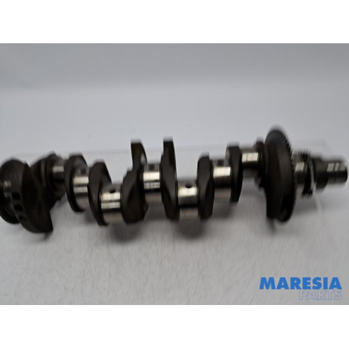 Fiat - Ducato - Krukas