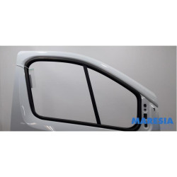 Renault - Trafic - Door 2-door, right