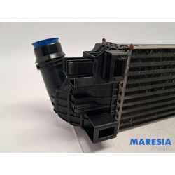 Opel - Vivaro - Ladeluftkühler