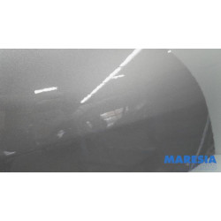 Renault - Grand Scenic - Portier 4Deurs rechts-voor