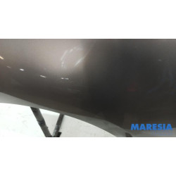 Renault - Grand Scenic - Scherm links-voor