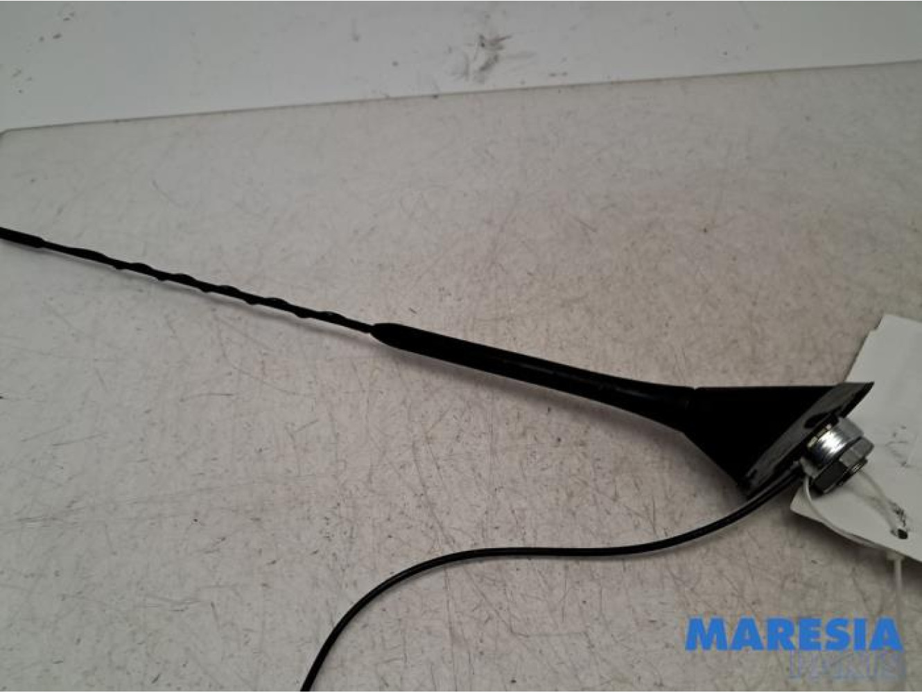 Fiat - 500 - Antenne