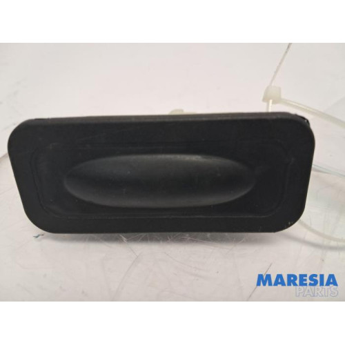 Renault - Megane - Tailgate switch