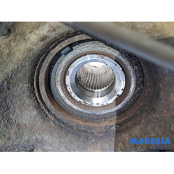 Fiat - Ducato - Achsschenkel rechts vorne