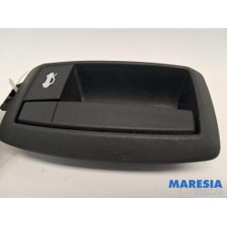 Fiat - Ducato - Handle