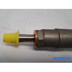 Fiat - Ducato - Injector (diesel)